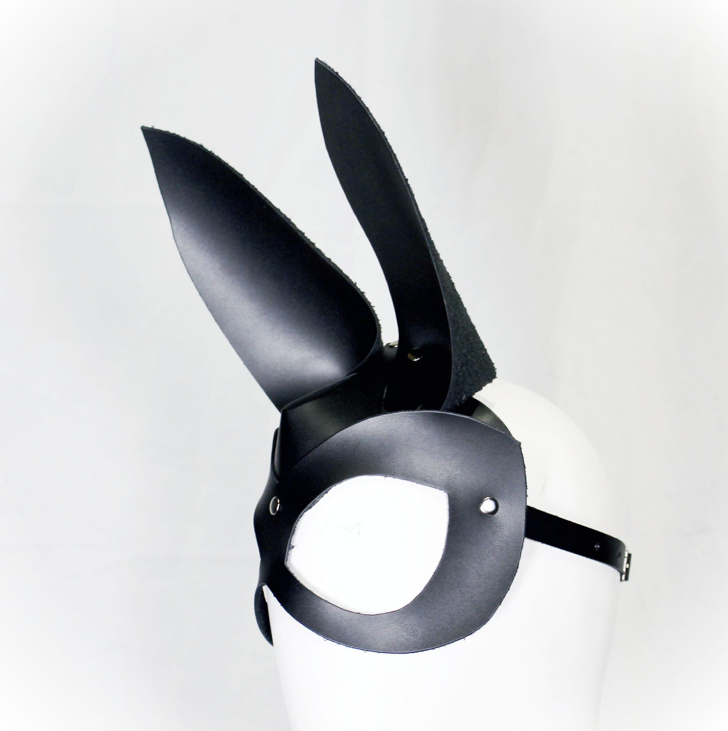 Bunny : rabbit conejo antifazc