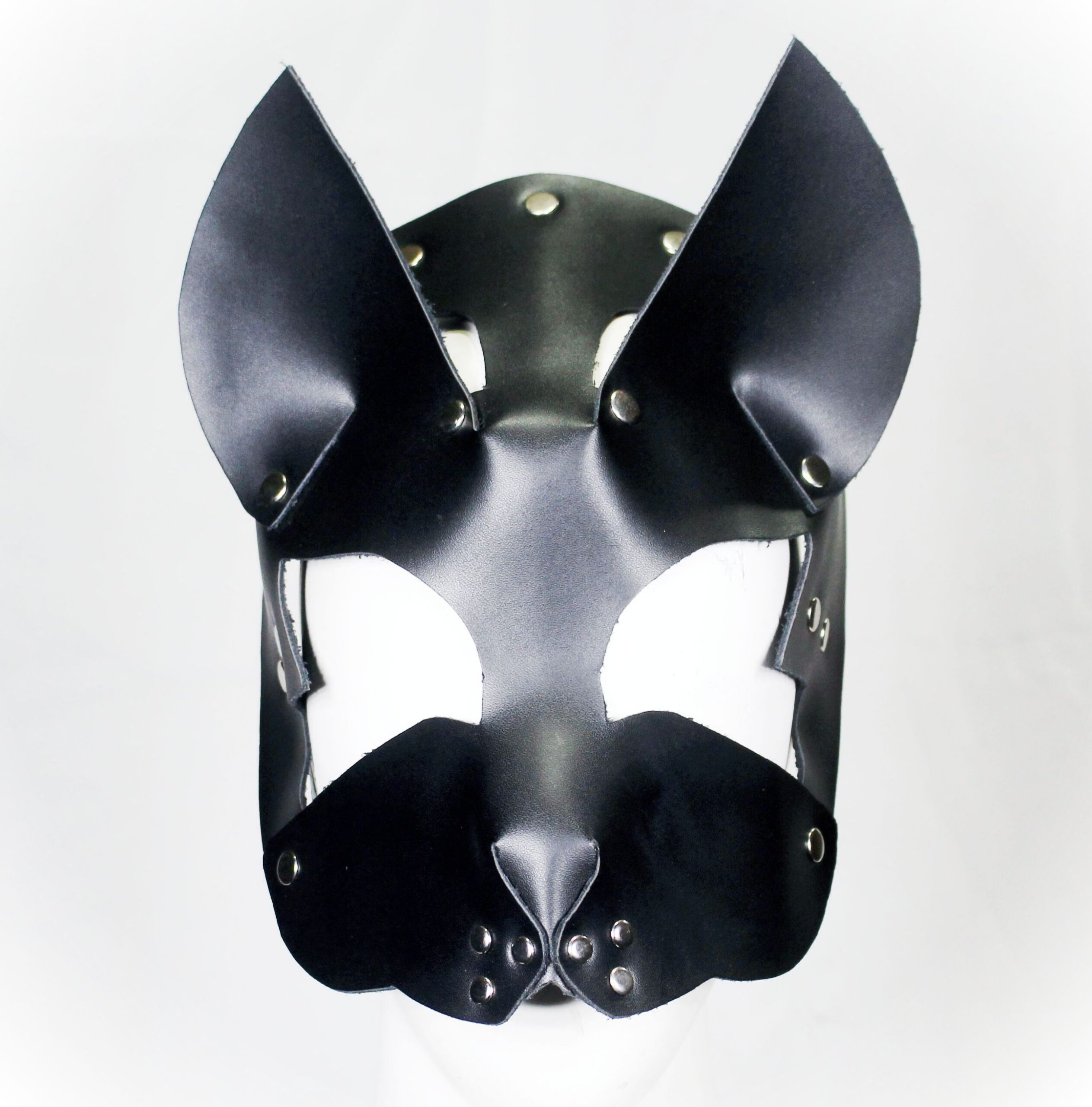 Cat 1: Gato : Mascaraa