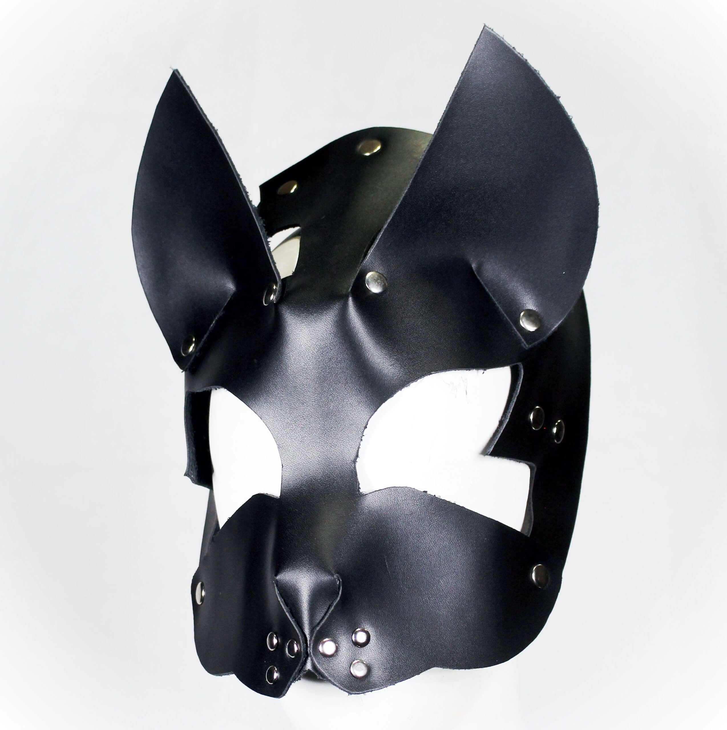 Cat 2: Gato : Mascarab
