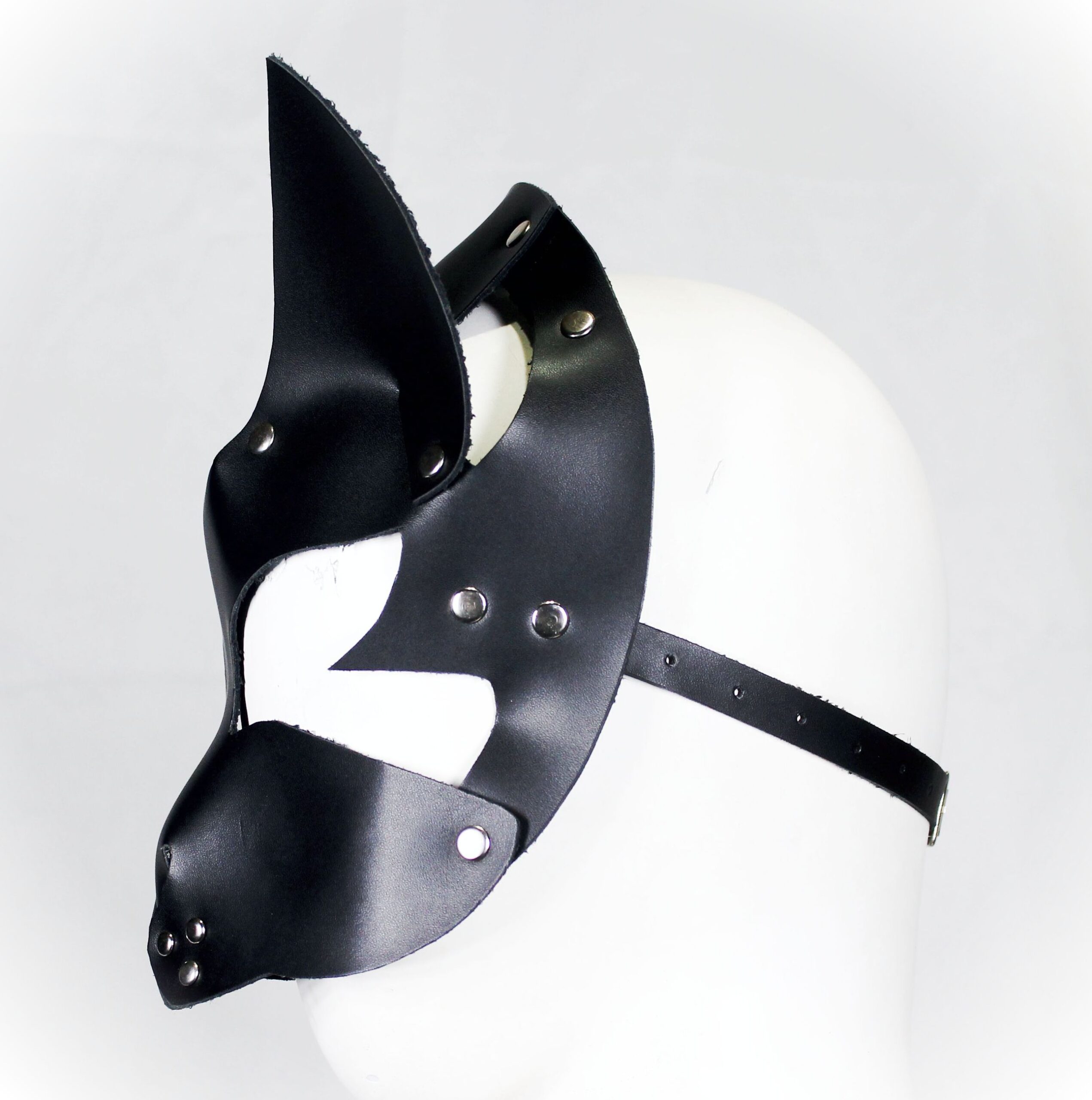 Cat 3: Gato : Mascarac