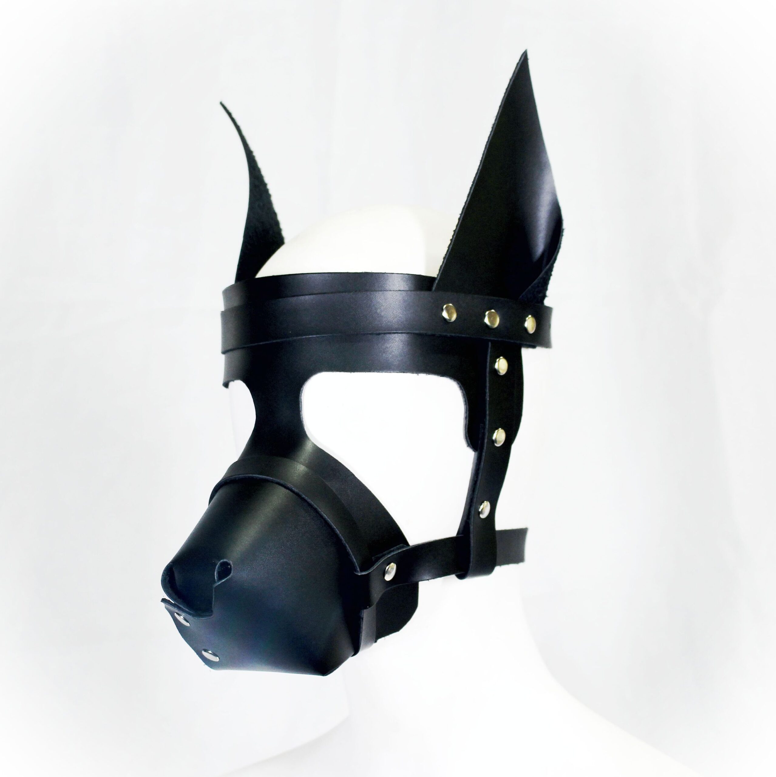 Perro Dog Doberman Petplayc